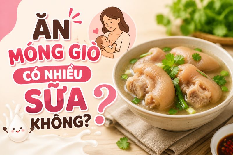 ăn móng giò có nhiều sữa không