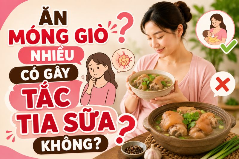 ăn móng giò nhiều có gây tắc tia sữa không