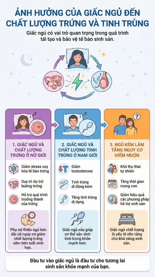 ảnh hưởng của giấc ngủ đến trứng và tinh trùng