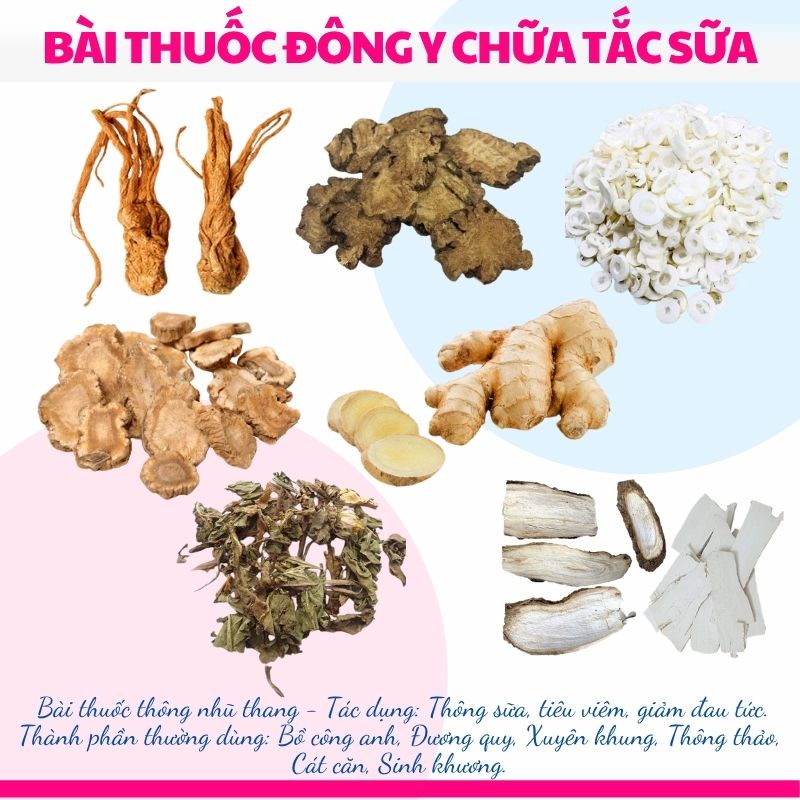Bài thuốc Đông y chữa tắc tia sữa hiệu quả, an toàn cho mẹ sau sinh
