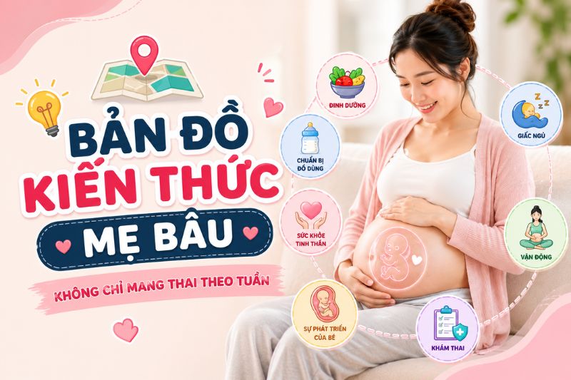 cẩm nang mẹ bầu bản đồ 