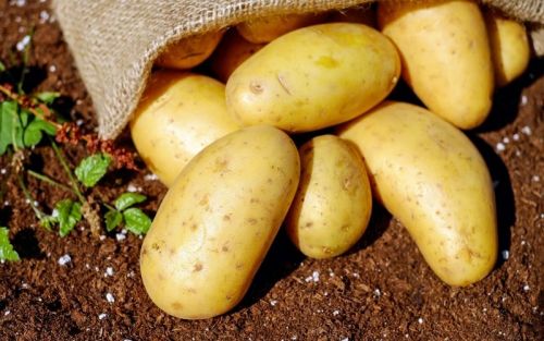 Bầu 3 tháng giữa không nên ăn gì?