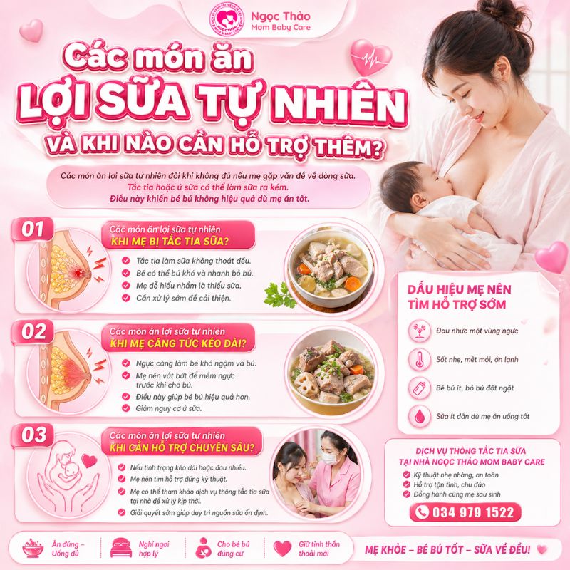 các món ăn lợi sữa tự nhiên khi nào cần hỗ trợ