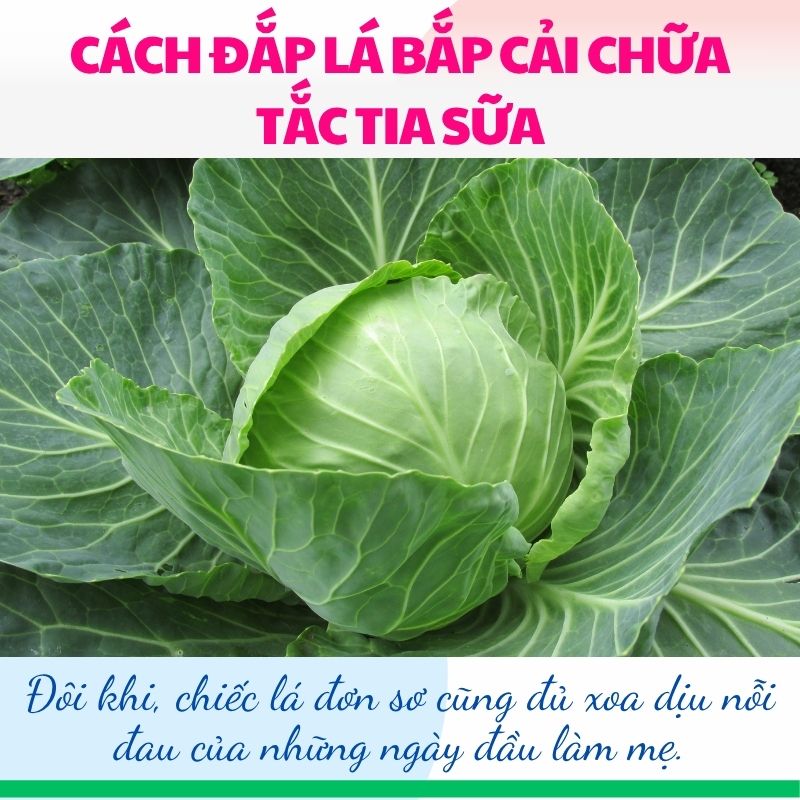 Đôi khi, chiếc lá đơn sơ cũng đủ xoa dịu nỗi đau của những ngày đầu làm mẹ.
