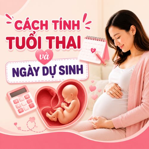 Cách tính tuổi thai theo tuần và ngày dự sinh