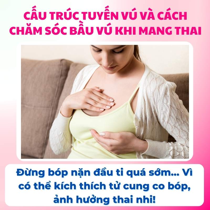 Cách chăm sóc bầu vú mẹ khi mang thai và sau sinh