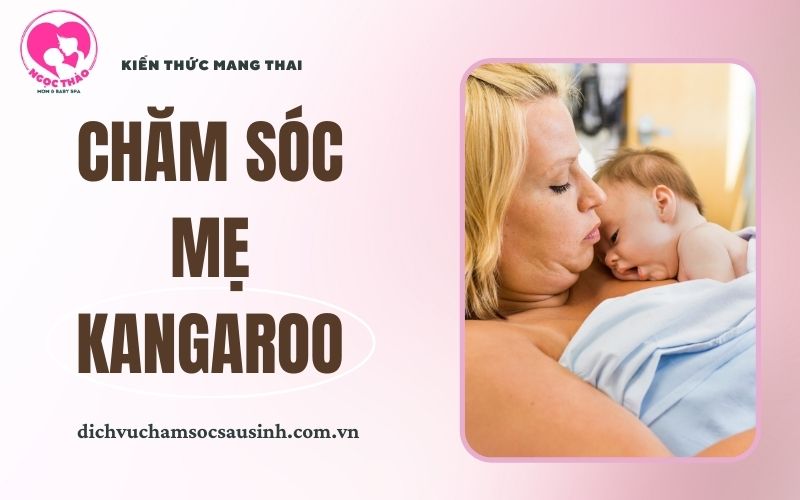 Chăm sóc mẹ kangaroo
