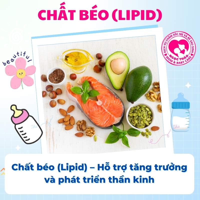 chất béo trong sữa mẹ