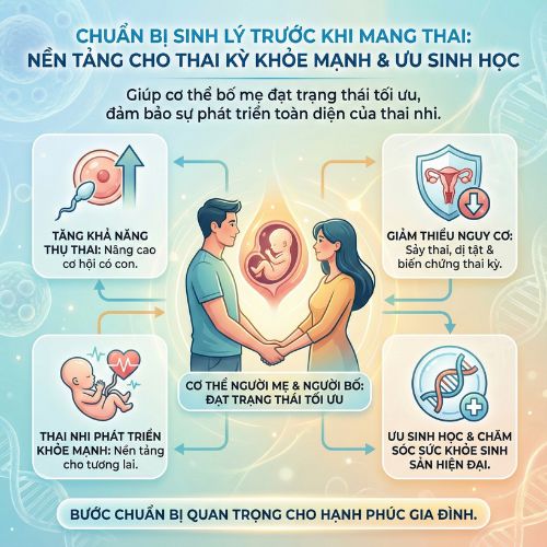 Chuẩn bị sinh lý trước khi mang thai cho hành trình làm cha mẹ