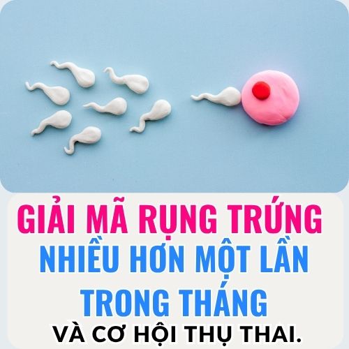 tinh trùng bào trong trứng