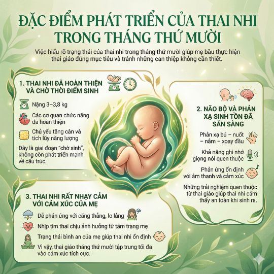 đặc điểm phát triển của thai nhi tháng thứ mười