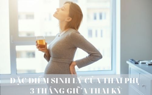 Đặc điểm sinh lý của thai phụ 3 tháng giữa thai kỳ