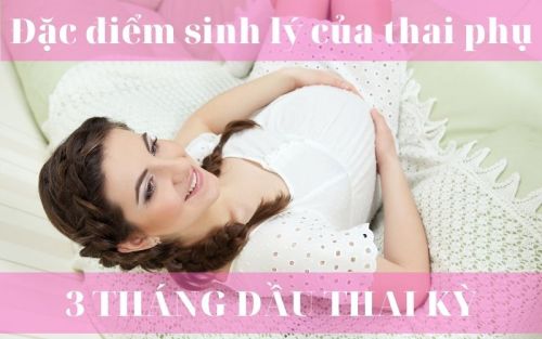 Đặc điểm sinh lý của thai phụ 3 tháng đầu thai kỳ