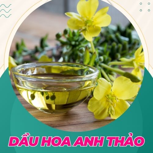 dầu hoa anh thảo giúp thụ tinh tự nhiên