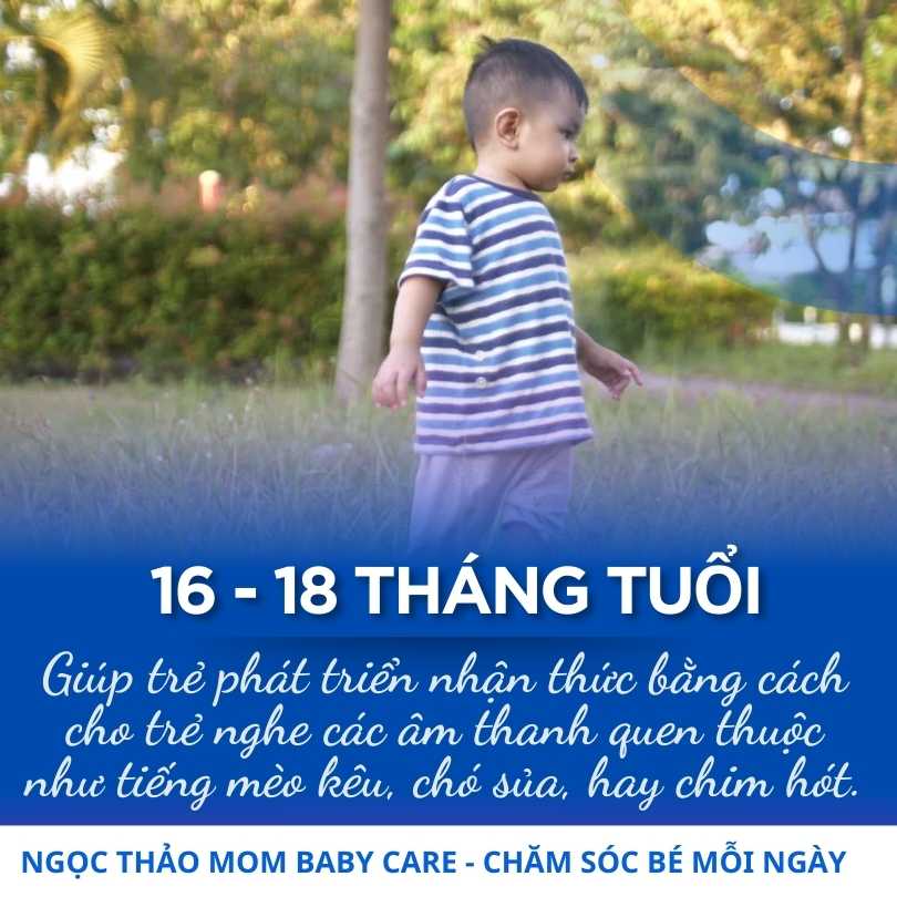 Dạy con từ 16 đến 18 tháng tuổi