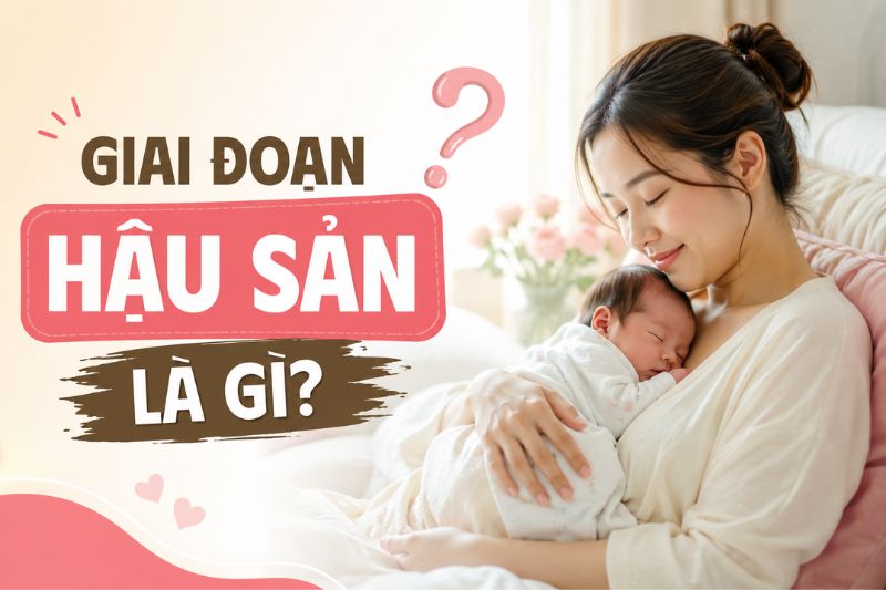 giai đoạn sau sinh là gì