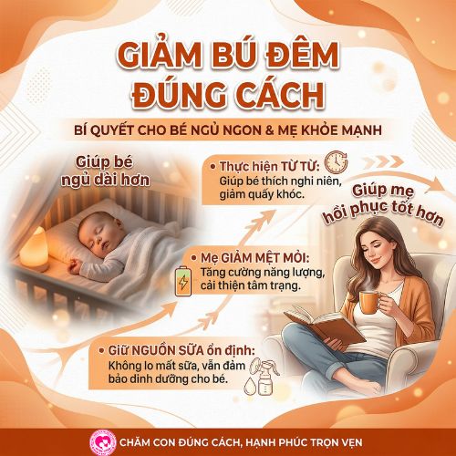 Giảm bú đêm đúng cách: Lộ trình nhẹ nhàng để bé ngủ tốt, mẹ khỏe hơn
