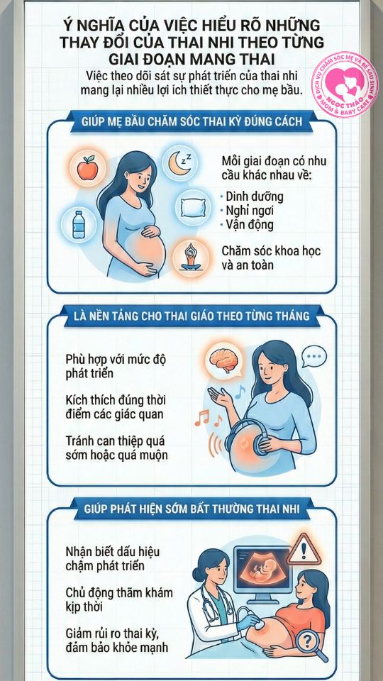 hiểu rõ sự thay đổi của thai nhi qua từng giai đoạn