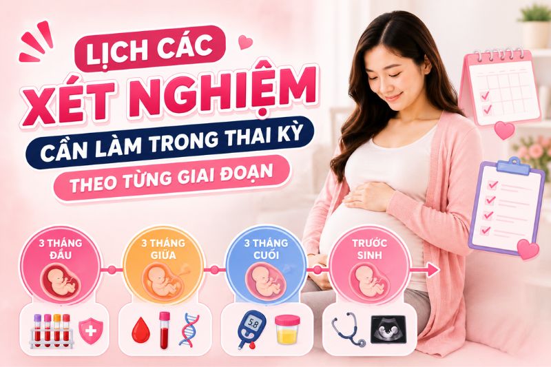 lịch xét nghiệm theo từng giai đoạn