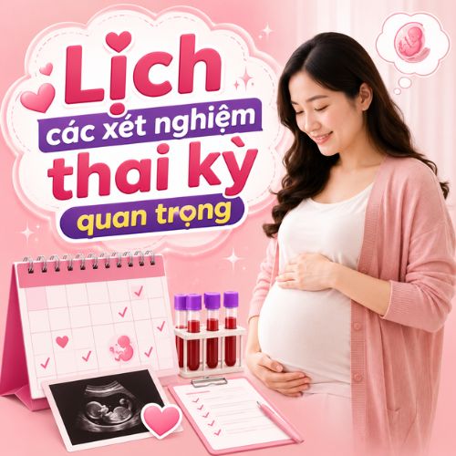 Lịch các xét nghiệm thai kỳ quan trọng mẹ bầu không nên bỏ lỡ
