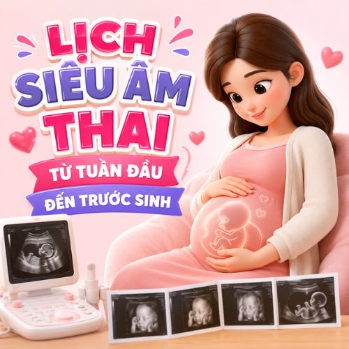 Lịch siêu âm thai từ tuần đầu đến trước sinh