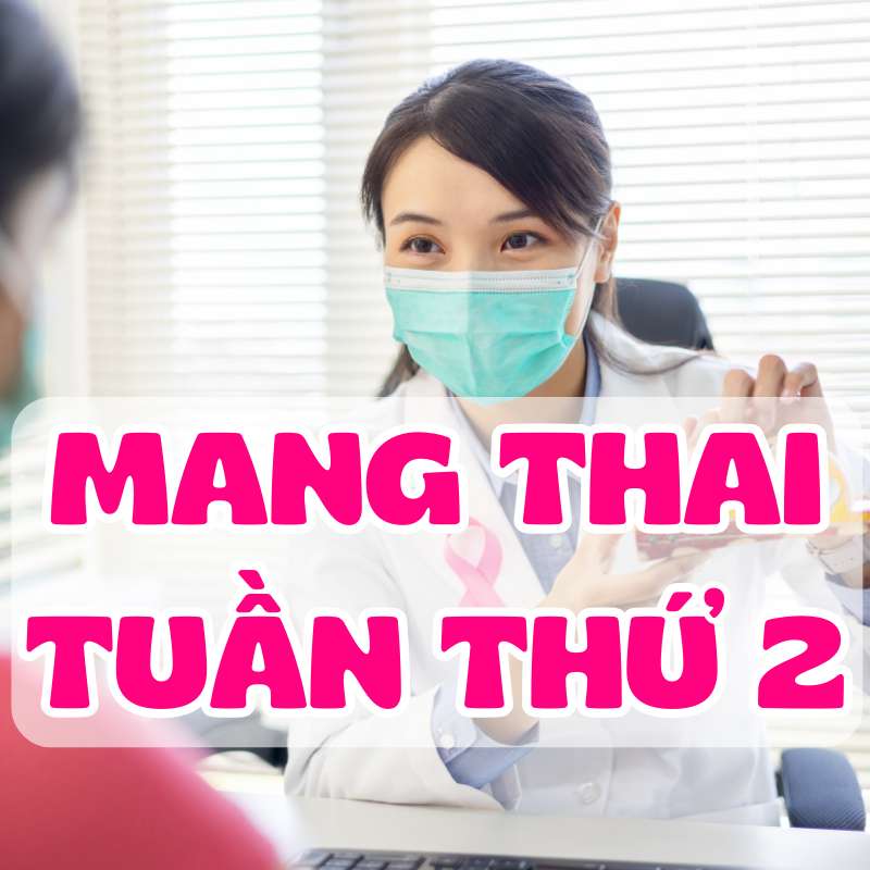 Mang thai tuần thứ 2 của thai kỳ