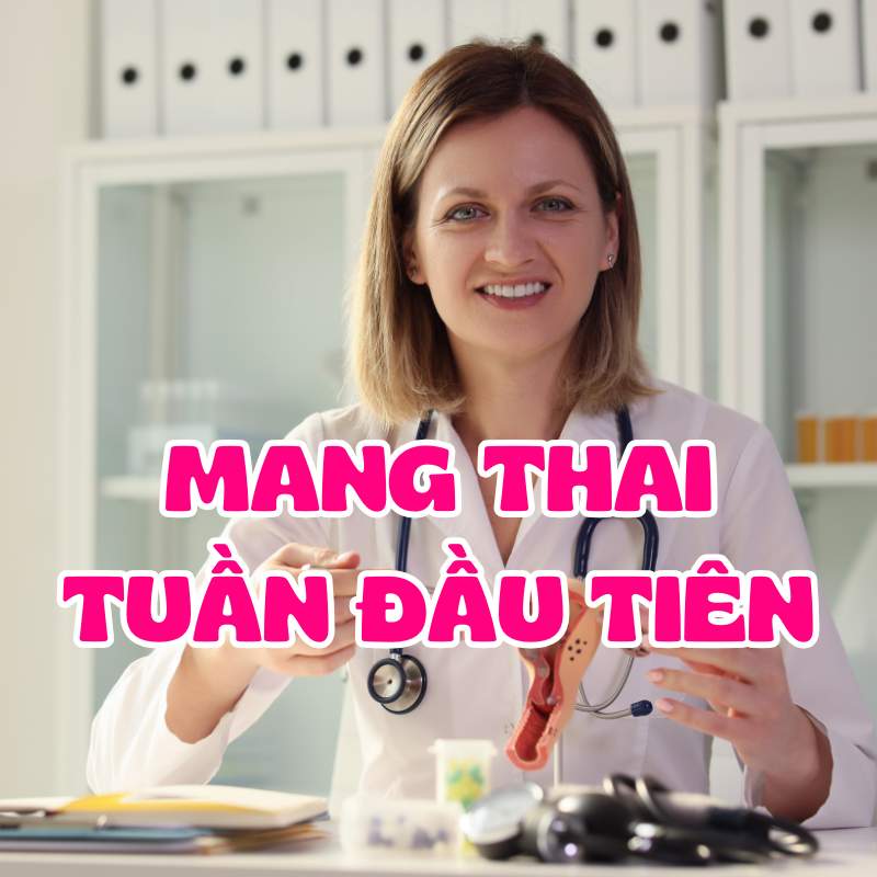 Mang thai tuần đầu tiên 