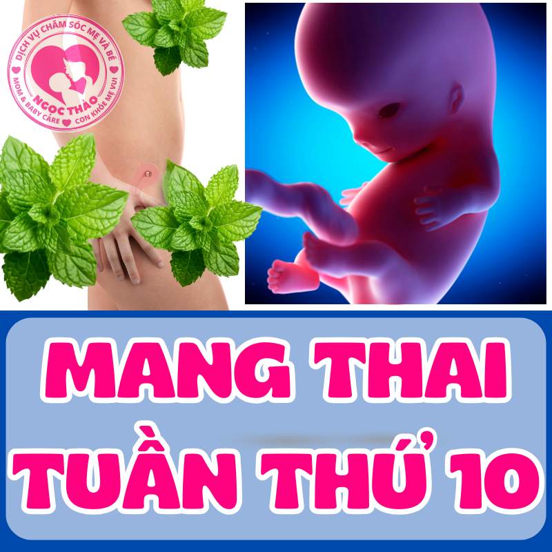 Mang thai tuần thứ 10 và sự phát triển của em bé trong bụng mẹ