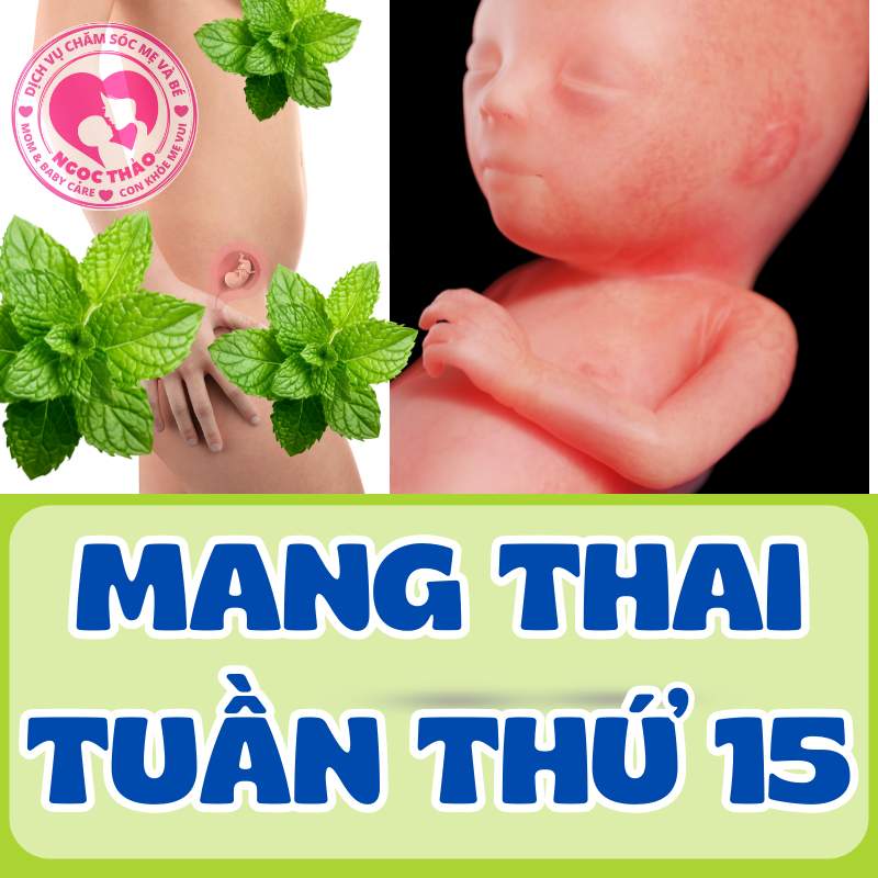 Mang thai tuần thứ 15 thai nhi phát triển như thế nào?