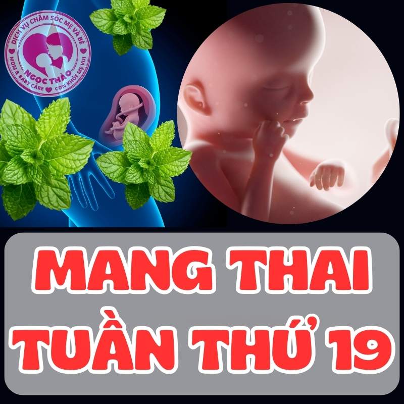 Mang thai tuần thứ 19: Bé yêu lớn lên vượt bậc, mẹ cần chú ý điều gì?