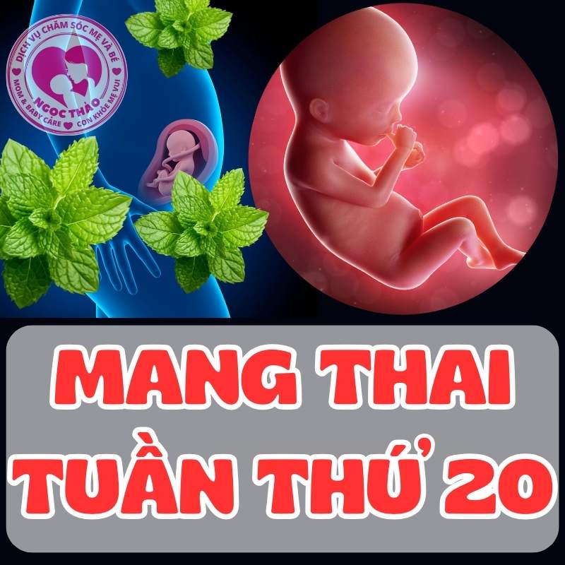 Hình ảnh mẹ bầu và thai nhi tuần thứ 20