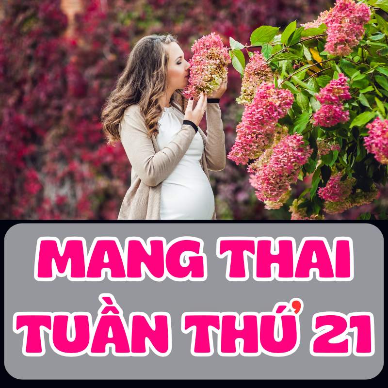 Hình ảnh mẹ bầu mang thai tuần thứ 21