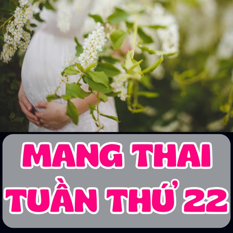 Mang thai tuần thứ 22 mẹ bầu và thai nhi phát triển