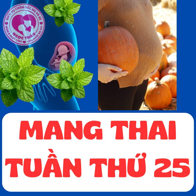 MẸ bầu mang thai tuần thứ 25