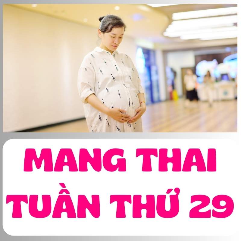 Mang thai tuần thứ 29 mẹ bầu khỏe mạnh và hạnh phúc