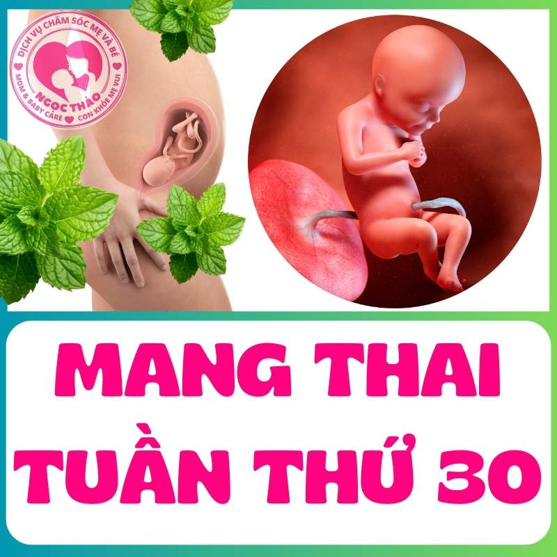 Mang thai tuần thứ 30 em bé quay đầu xuống