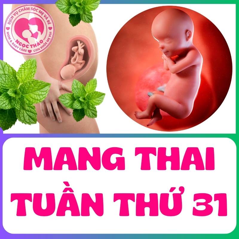 Mang thai tuần thứ 31: triệu chứng và sự phát triển của thai nhi