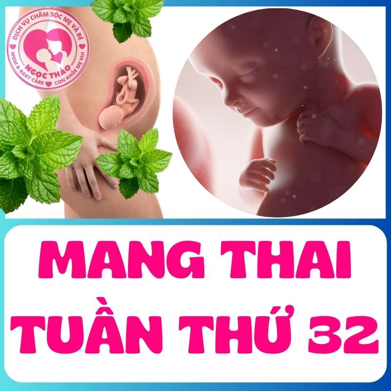 Mang thai tuần thứ 32 thai nhi trong bụng mẹ