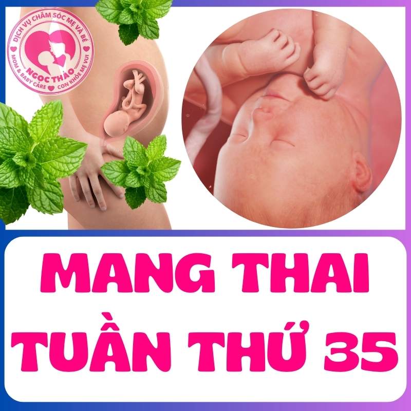 Mang thai tuần thứ 35, triệu chứng, sự phát triển của bé và lời khuyên