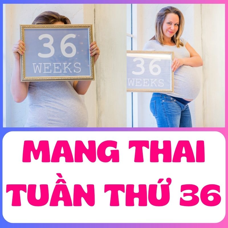 Mang thai tuần thứ 36, những thay đổi trong cơ thể mẹ và lời khuyên quan trọng