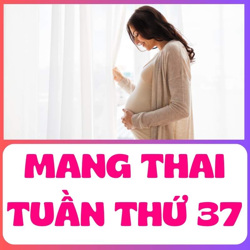 Mang thai tuần thứ 37 mẹ bầu bụng to hơn