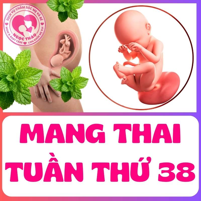 Mang thai tuần thứ 38 sự thay đổi của mẹ bầu và thai nhi