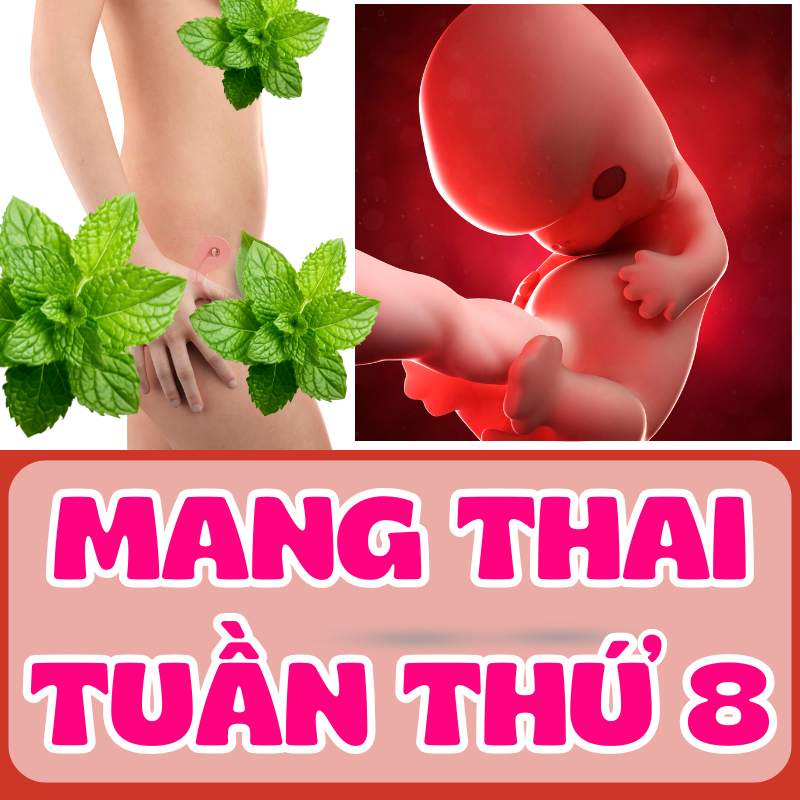 Mang thai tuần thứ 8