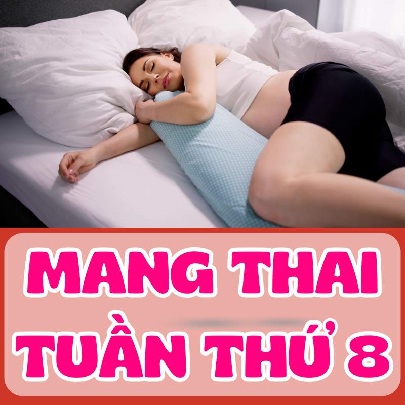 thói quen lành mạnh cho mẹ bầu thai kỳ tuần 8