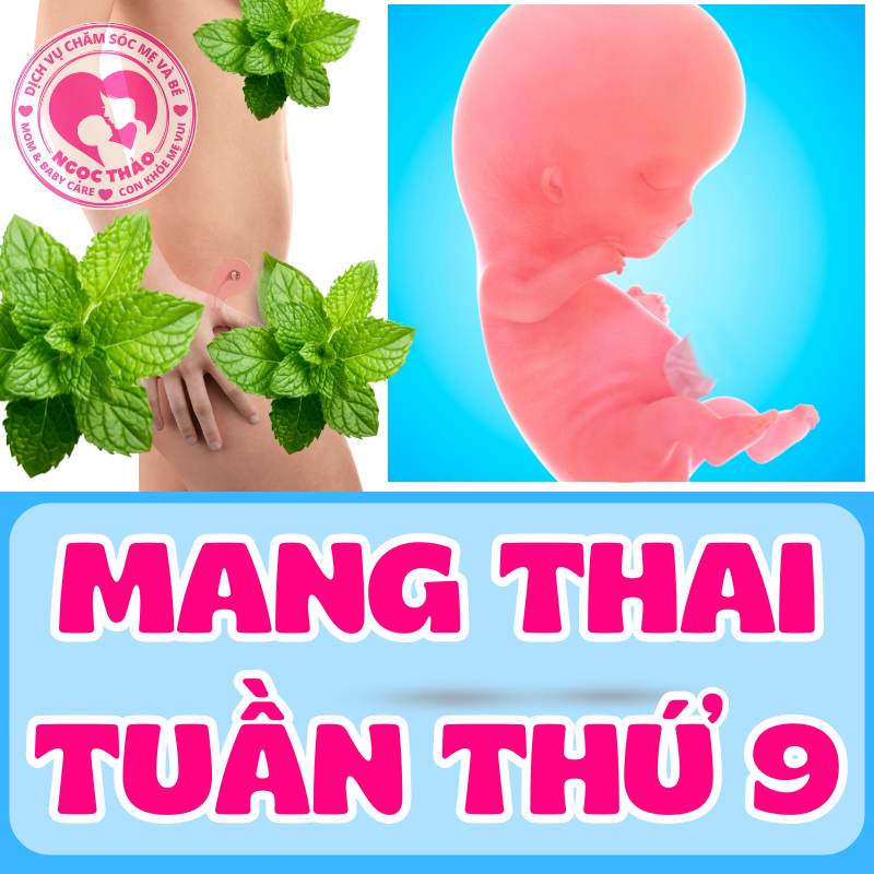 Mang thai tuần thứ 9 của thai kỳ