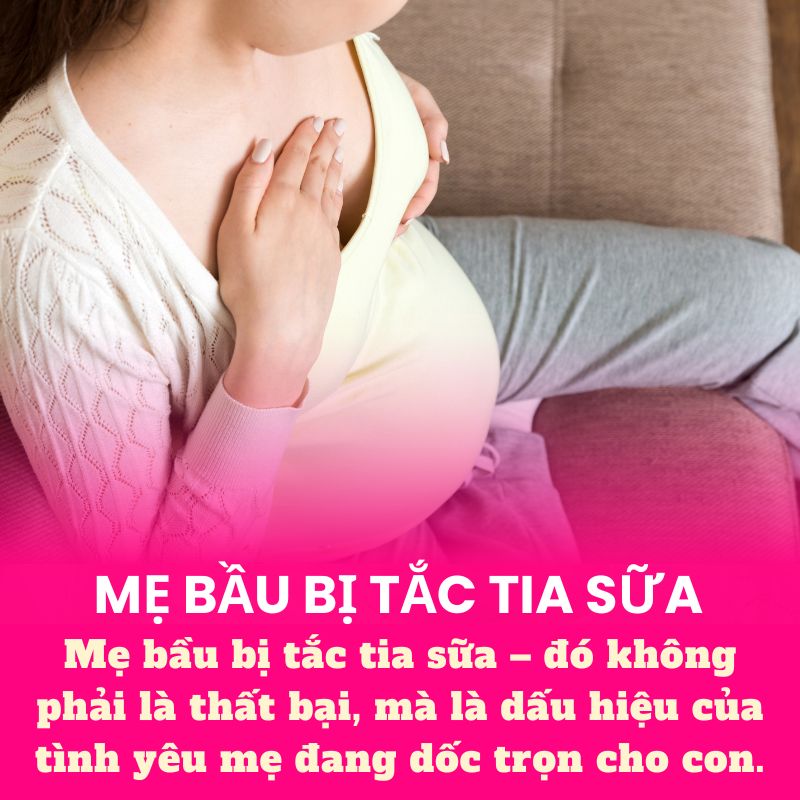 Mẹ bầu bị tắc tia sữa – đó không phải là thất bại, mà là dấu hiệu của tình yêu mẹ đang dốc trọn cho con.