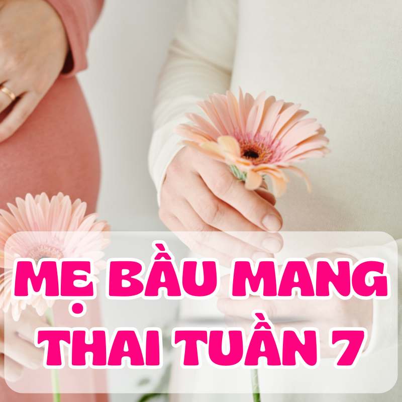 Mẹ bầu mang thai tuần thứ 7