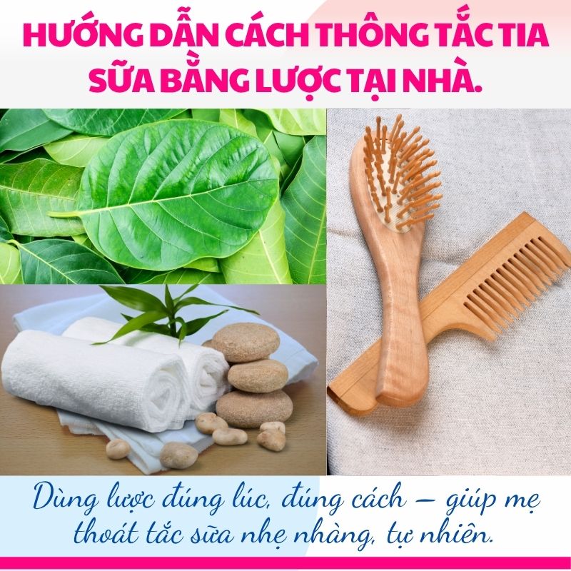 Dùng lược đúng lúc, đúng cách – giúp mẹ thoát tắc sữa nhẹ nhàng, tự nhiên.