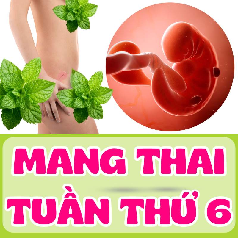 Mang thai tuần thứ 6