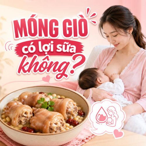 Móng giò có lợi sữa không?